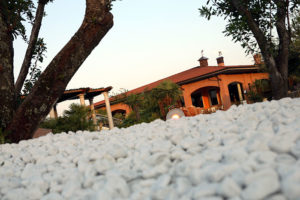 parco eracle 4 Green Park Ristorante